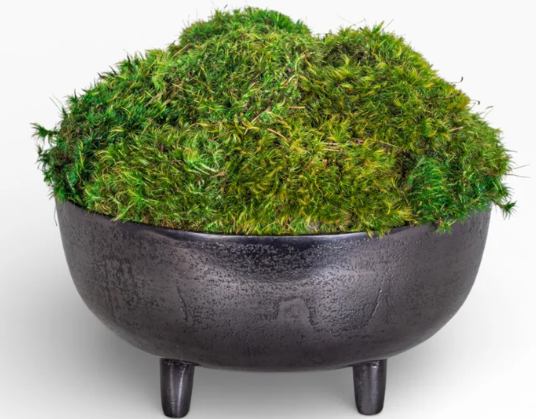 10" Rider Moss Planter